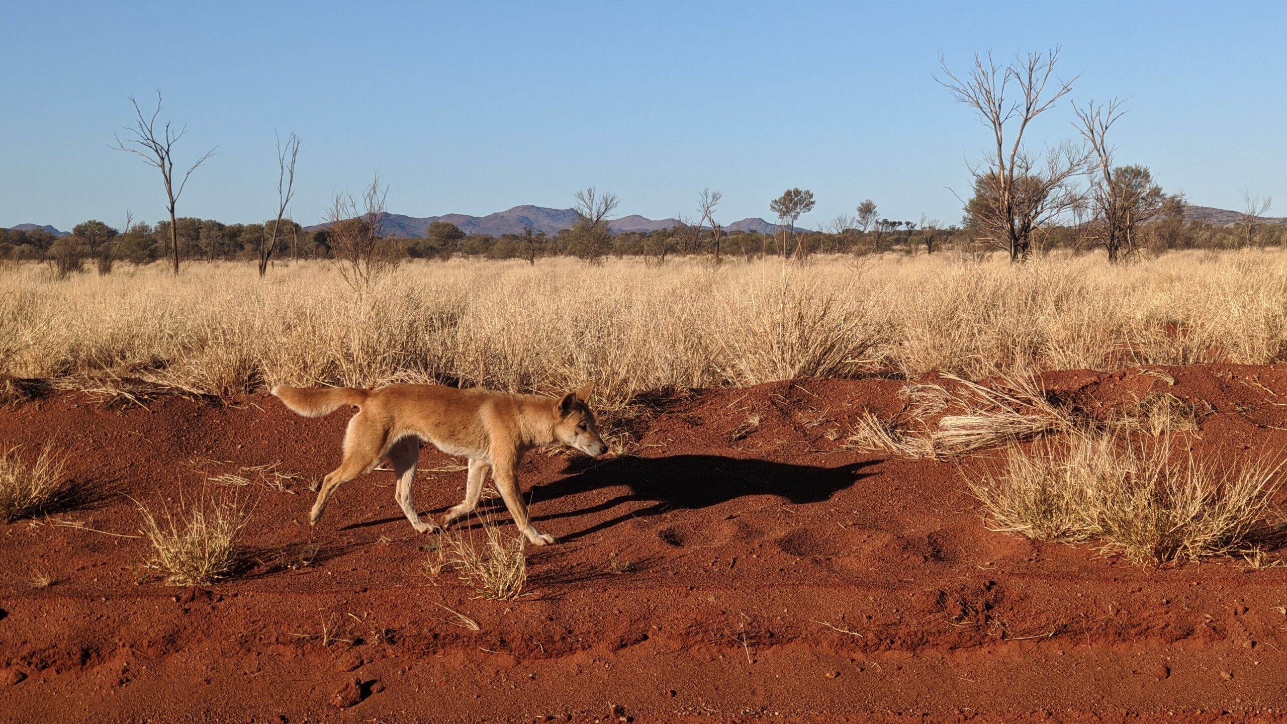 TF.A Recommended Reading